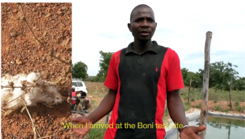Burkinabe farmer